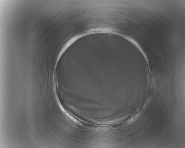 X0000080151389200612221938