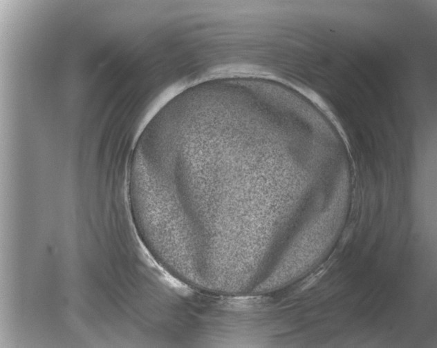 X0000080151390200612221938