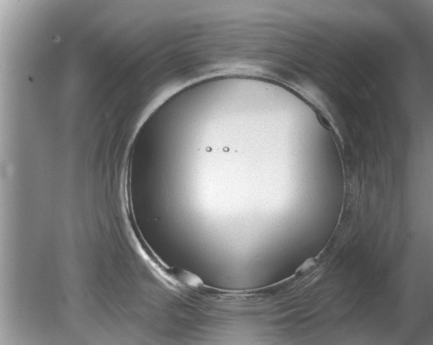 X0000080151391200612221938