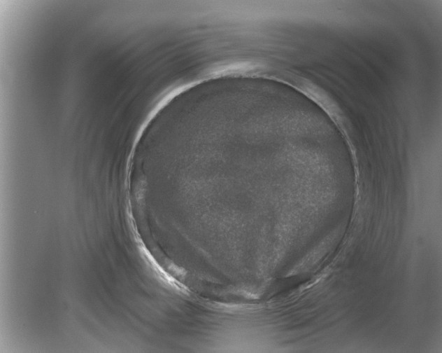 X0000080151392200612221938