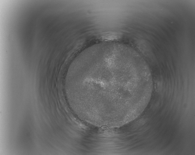 X0000080151393200612221937