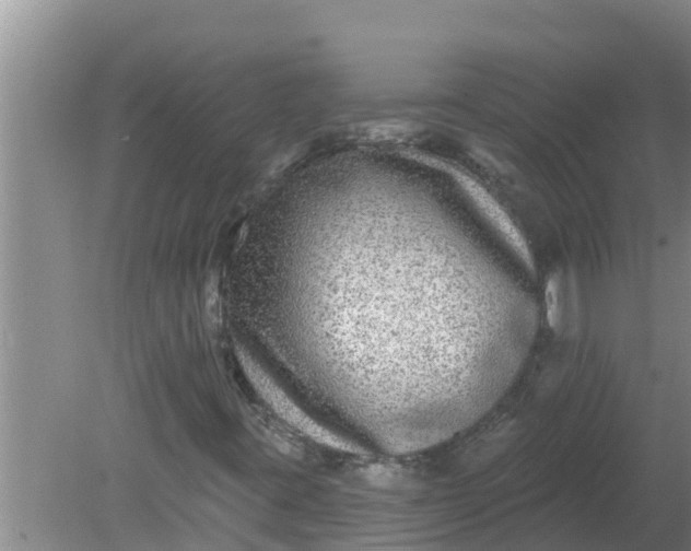 X0000080151395200612221937