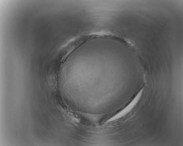 X0000080151398200612221937