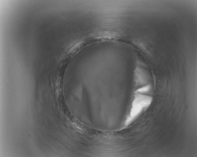 X0000080151399200612221937