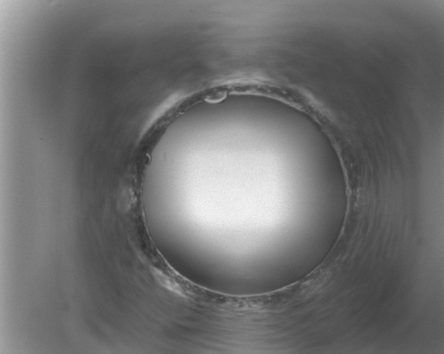 X0000080151400200612221937