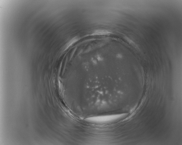 X0000080151401200612221937