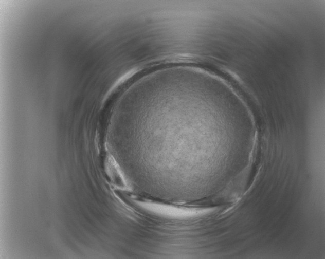 X0000080151402200612221937