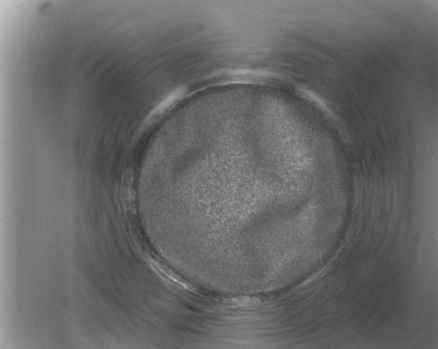 X0000080151403200612221937