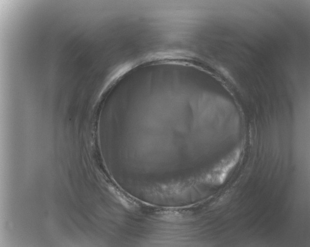 X0000080151405200612221937