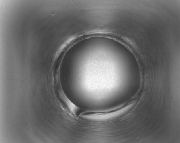 X0000080151406200612221937