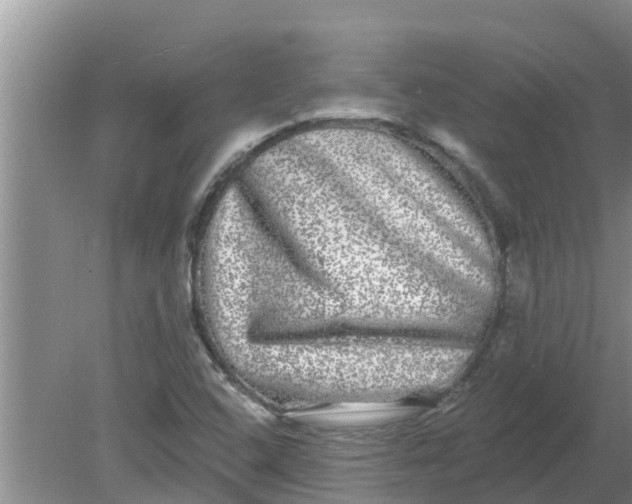 X0000080151408200612221937