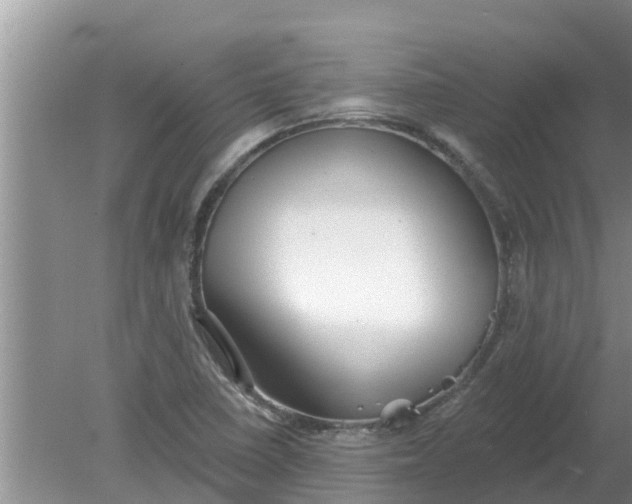 X0000080151410200612221937