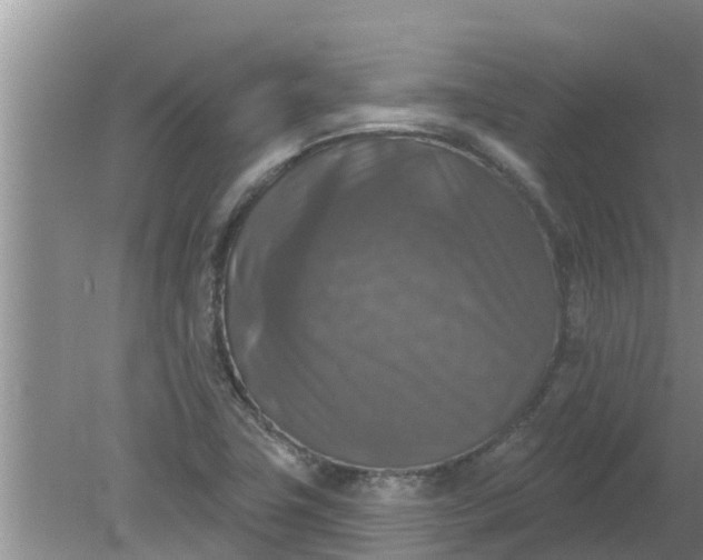 X0000080151411200612221937