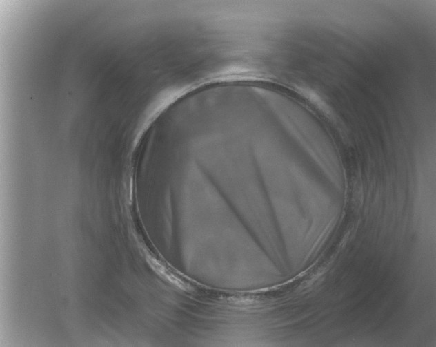 X0000080151413200612221937