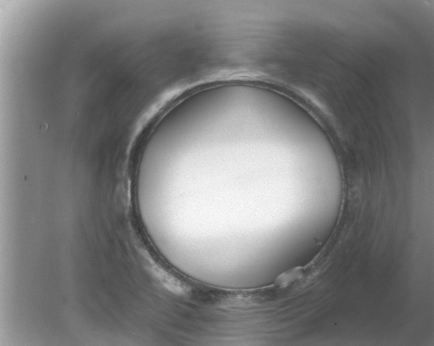 X0000080151414200612221937