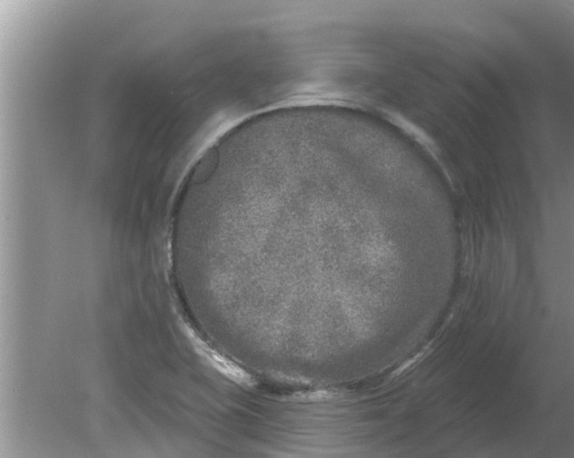 X0000080151415200612221937