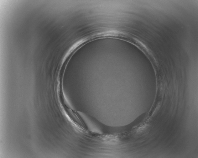 X0000080151418200612221937