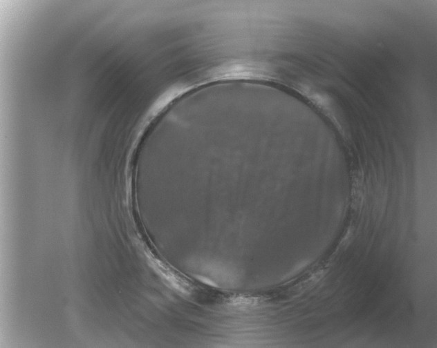 X0000080151419200612221937