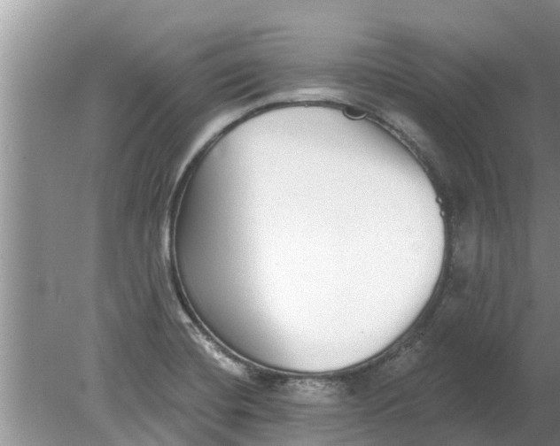 X0000080151420200612221937