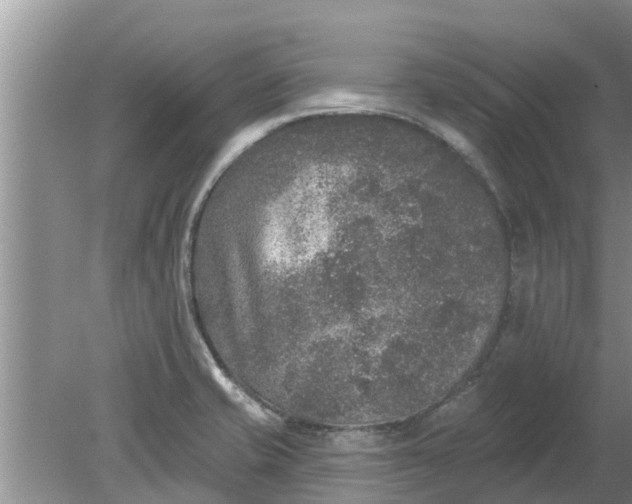 X0000080151421200612221937