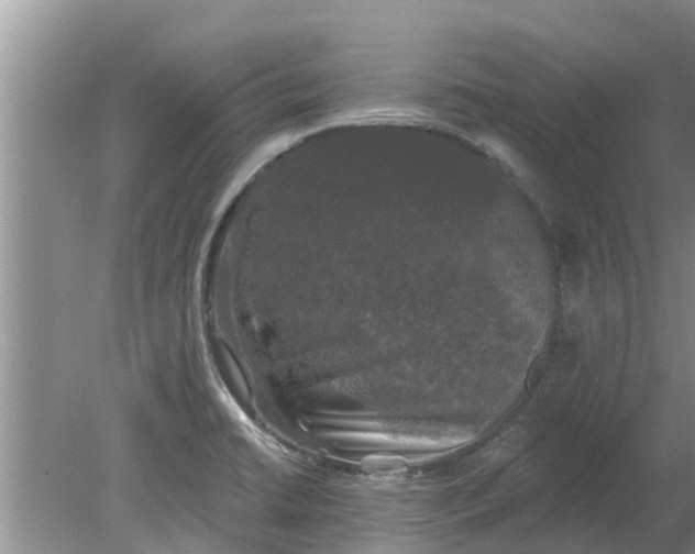 X0000080151422200612221937