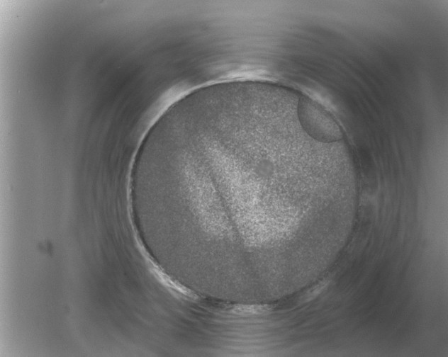 X0000080151423200612221937