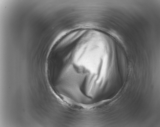 X0000080151424200612221937