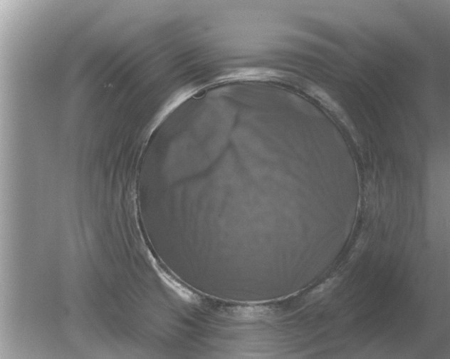 X0000080151425200612221937