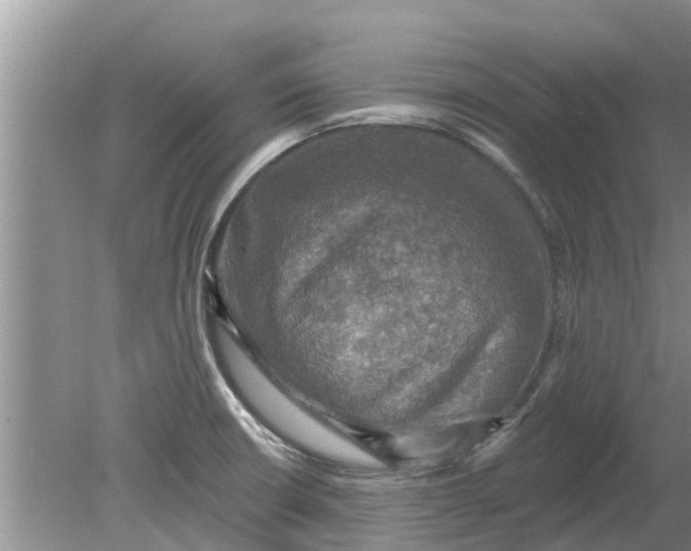 X0000080151426200612221937