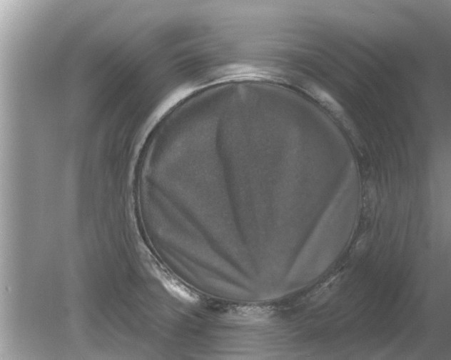 X0000080151427200612221937