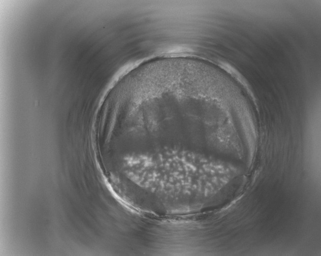 X0000080151429200612221937