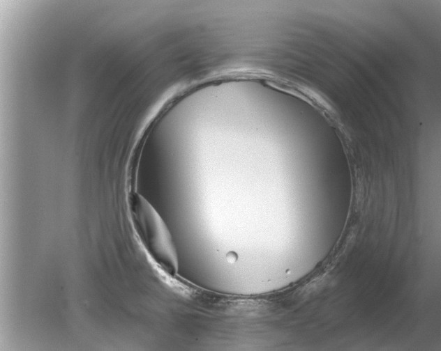 X0000080151430200612221937