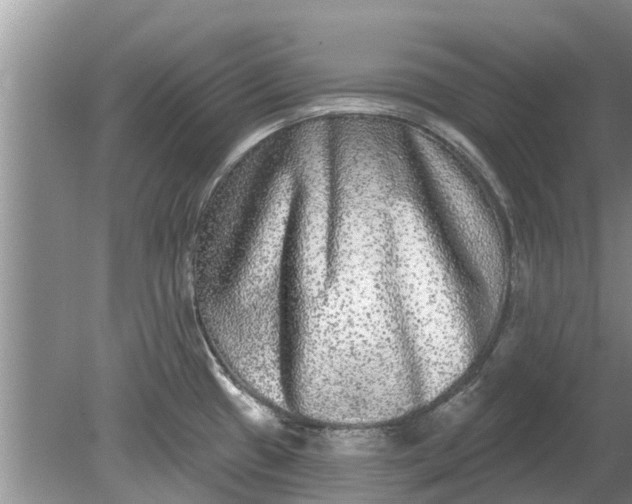 X0000080151433200612221937