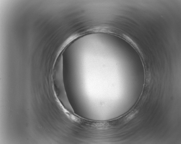 X0000080151434200612221937