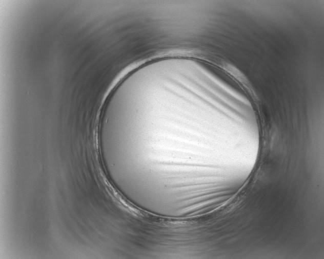 X0000080151436200612221937