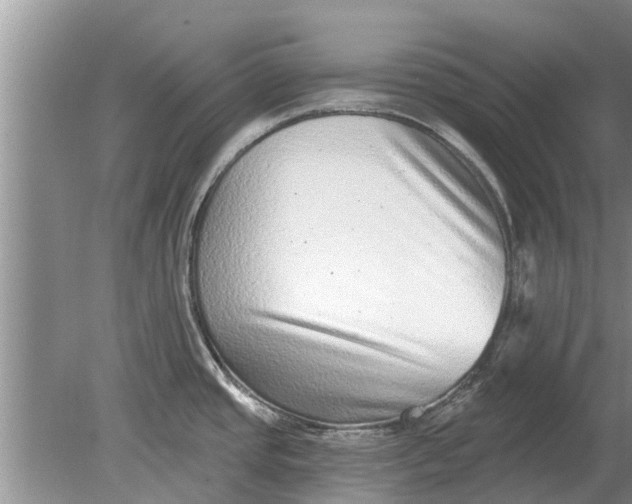 X0000080151437200612221937