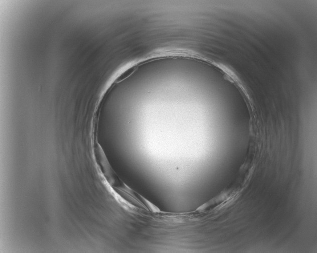 X0000080151438200612221937