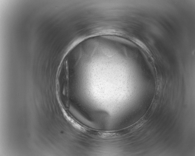 X0000080151439200612221938