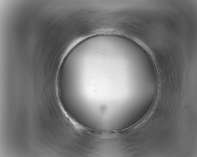 X0000080151440200612221938