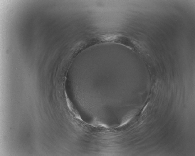 X0000080151441200612221937