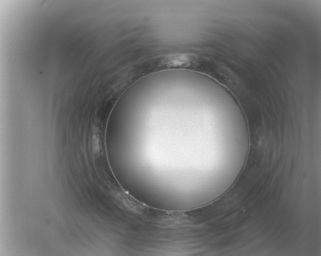 X0000080151442200612221937