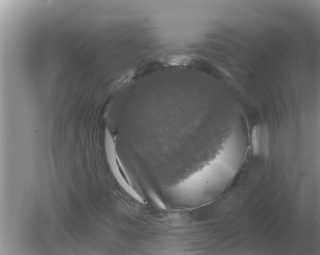 X0000080151443200612221937