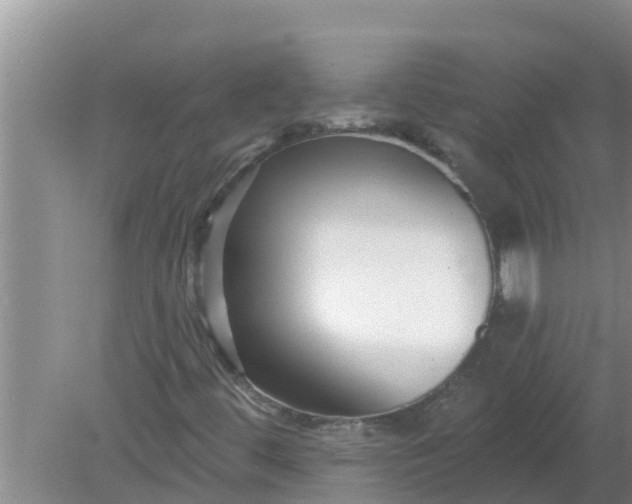 X0000080151444200612221937