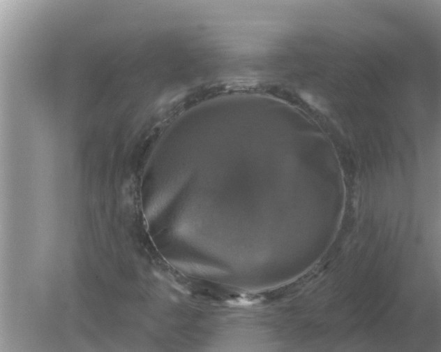 X0000080151445200612221937