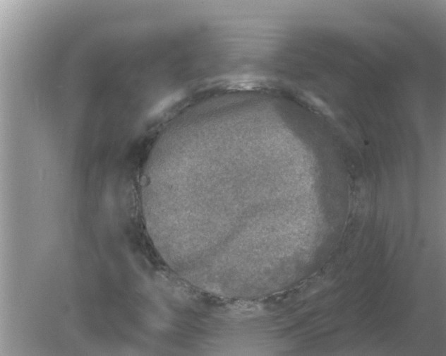 X0000080151446200612221937