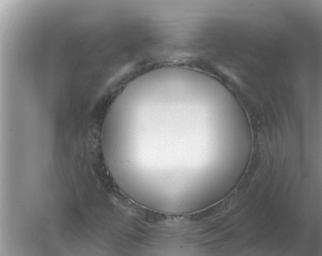 X0000080151447200612221937