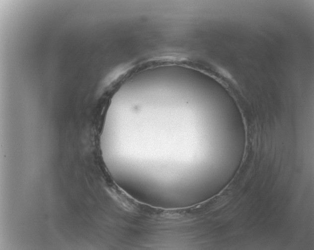 X0000080151448200612221937