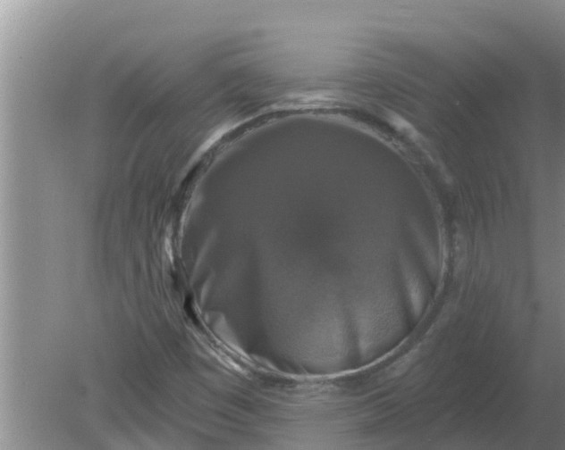 X0000080151449200612221937