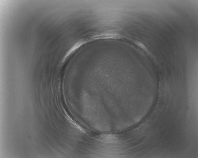 X0000080151450200612221937