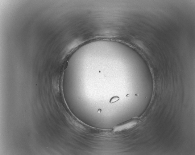 X0000080151451200612221937